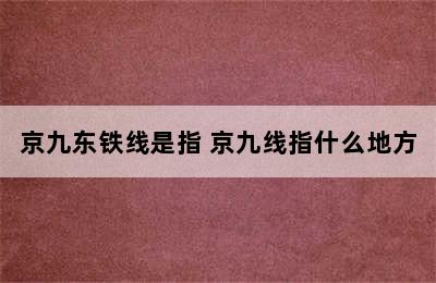 京九东铁线是指 京九线指什么地方